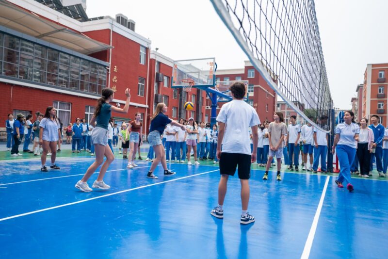 9bd8313d7rce7f617c8f787b5d3828ff